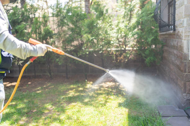 Best Mosquito Control  in Calera, OK